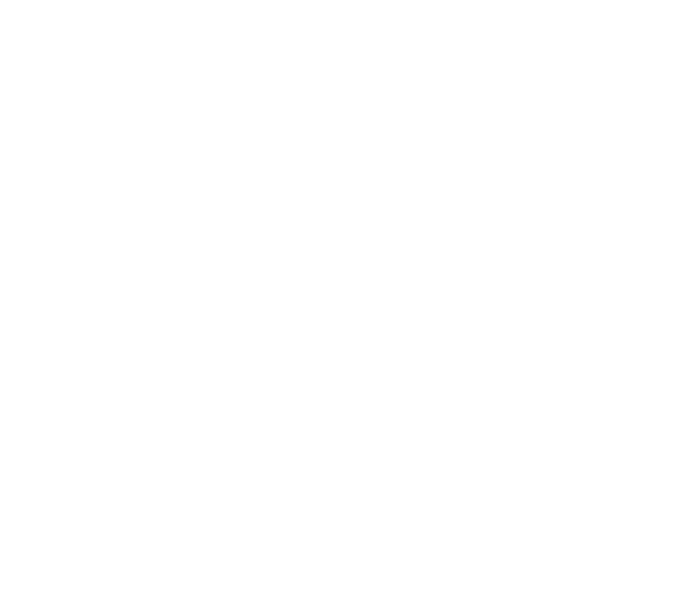 BRAZIL SENSATIONS